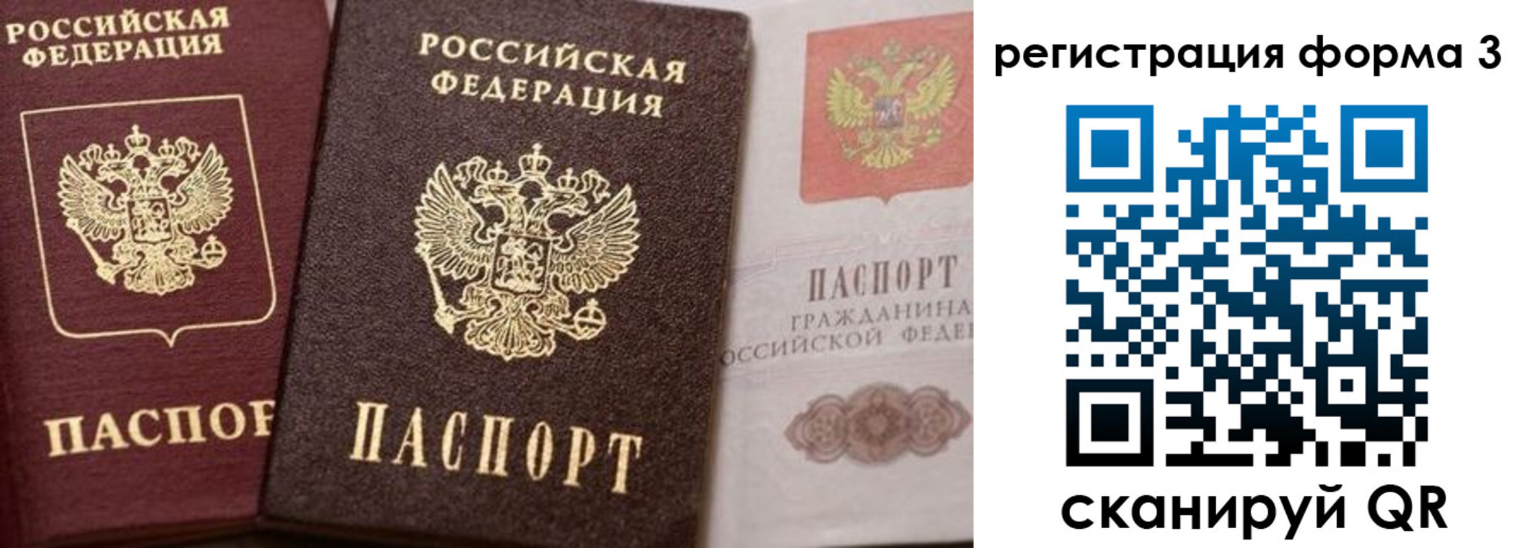пропишу в квартире в Брянской области